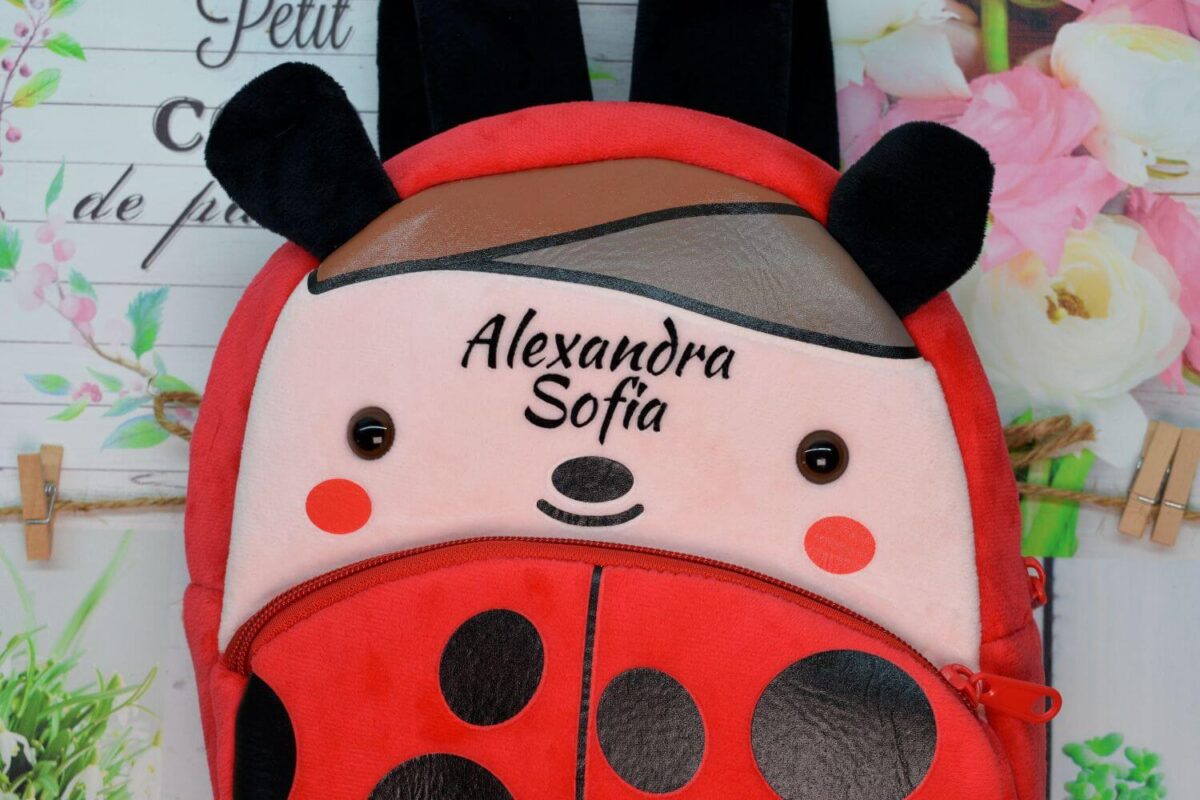 Rucsac Buburuza Personalizat Rucsac Buburuza Personalizat