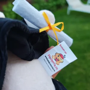 Etic Păpușă Personalizată<br> Absolvent(băiat)